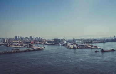 网站攻击软件